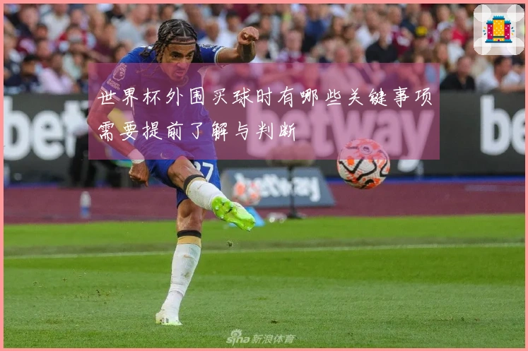 世界杯外围买球时有哪些关键事项需要提前了解与判断