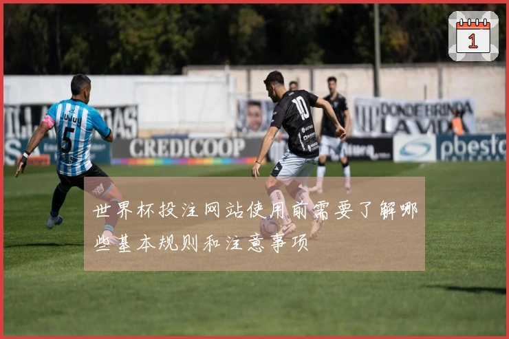 世界杯投注网站使用前需要了解哪些基本规则和注意事项