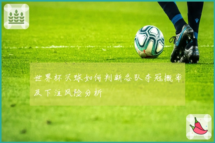 世界杯买球如何判断各队夺冠概率及下注风险分析