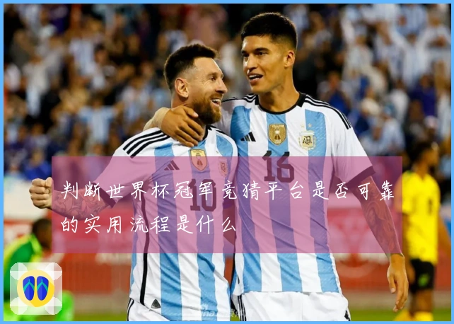 判断世界杯冠军竞猜平台是否可靠的实用流程是什么