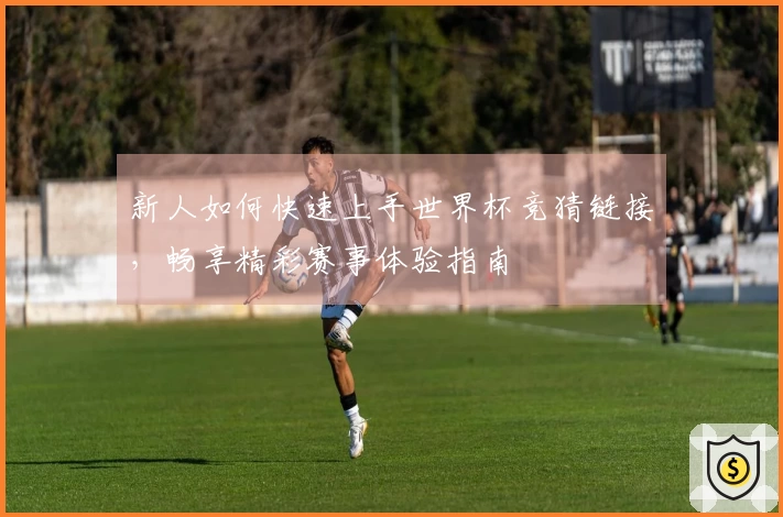 新人如何快速上手世界杯竞猜链接，畅享精彩赛事体验指南