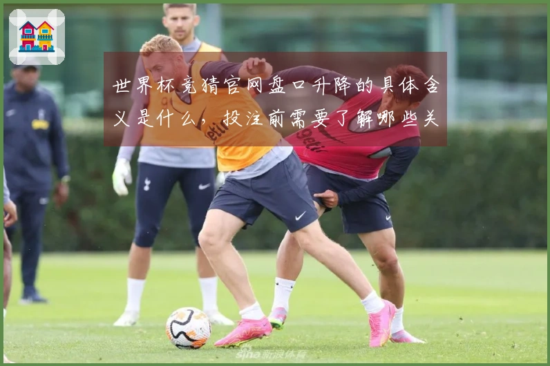 世界杯竞猜官网盘口升降的具体含义是什么，投注前需要了解哪些关键点