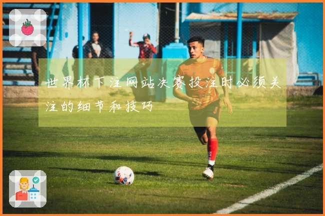 世界杯下注网站决赛投注时必须关注的细节和技巧