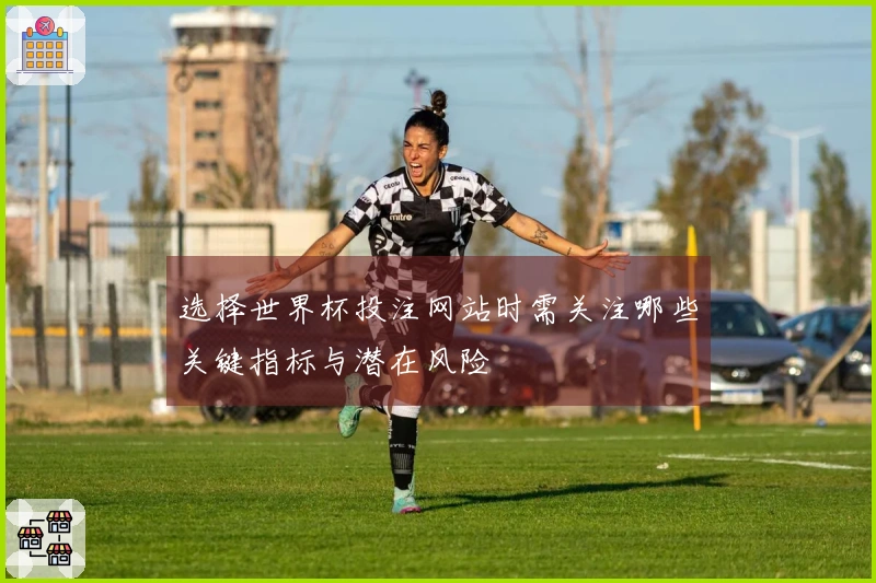 选择世界杯投注网站时需关注哪些关键指标与潜在风险