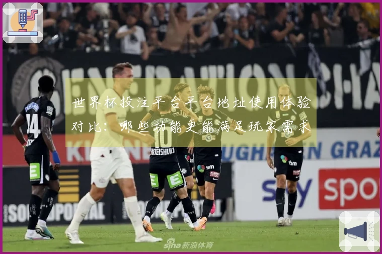 世界杯投注平台平台地址使用体验对比：哪些功能更能满足玩家需求？