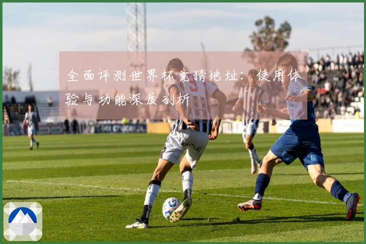 全面评测世界杯竞猜地址：使用体验与功能深度剖析