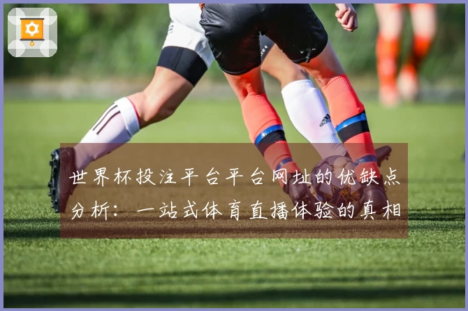 世界杯投注平台平台网址的优缺点分析：一站式体育直播体验的真相与挑战