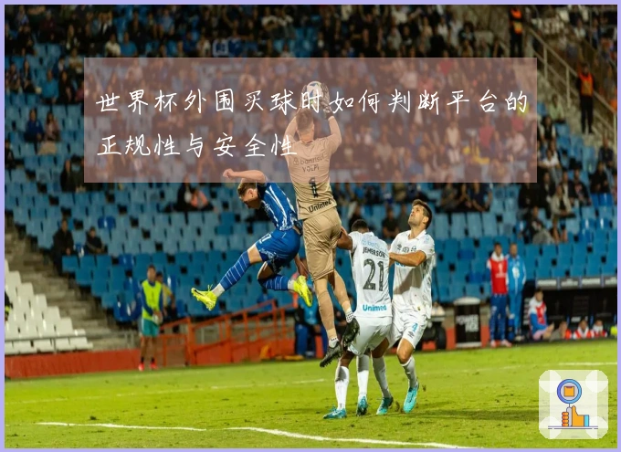世界杯外围买球时如何判断平台的正规性与安全性