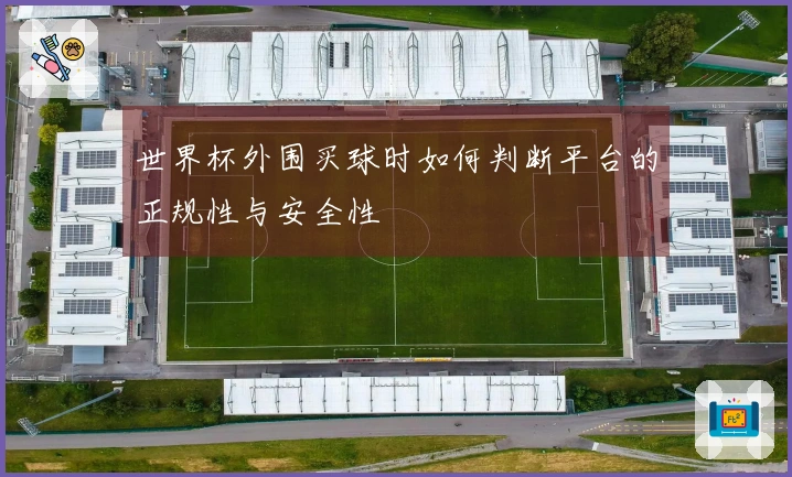 世界杯外围买球时如何判断平台的正规性与安全性