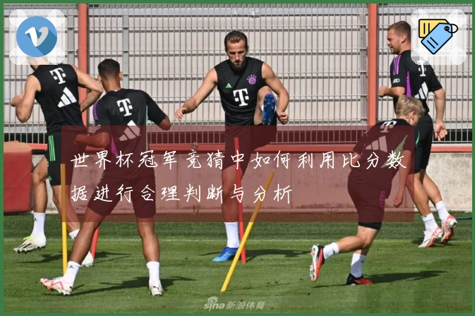 世界杯冠军竞猜中如何利用比分数据进行合理判断与分析