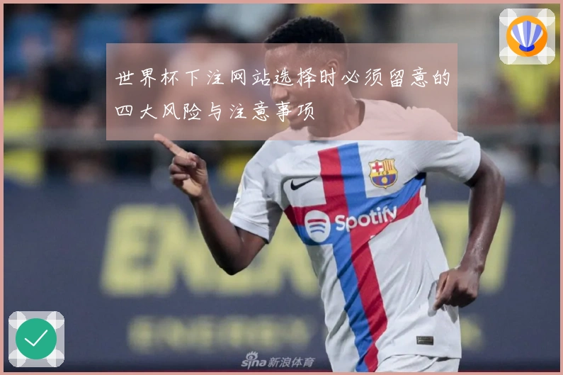 世界杯下注网站选择时必须留意的四大风险与注意事项